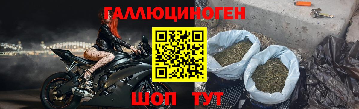 Зеленодольск  Псилоцибиновые грибы мухоморы  Вход с VPN 